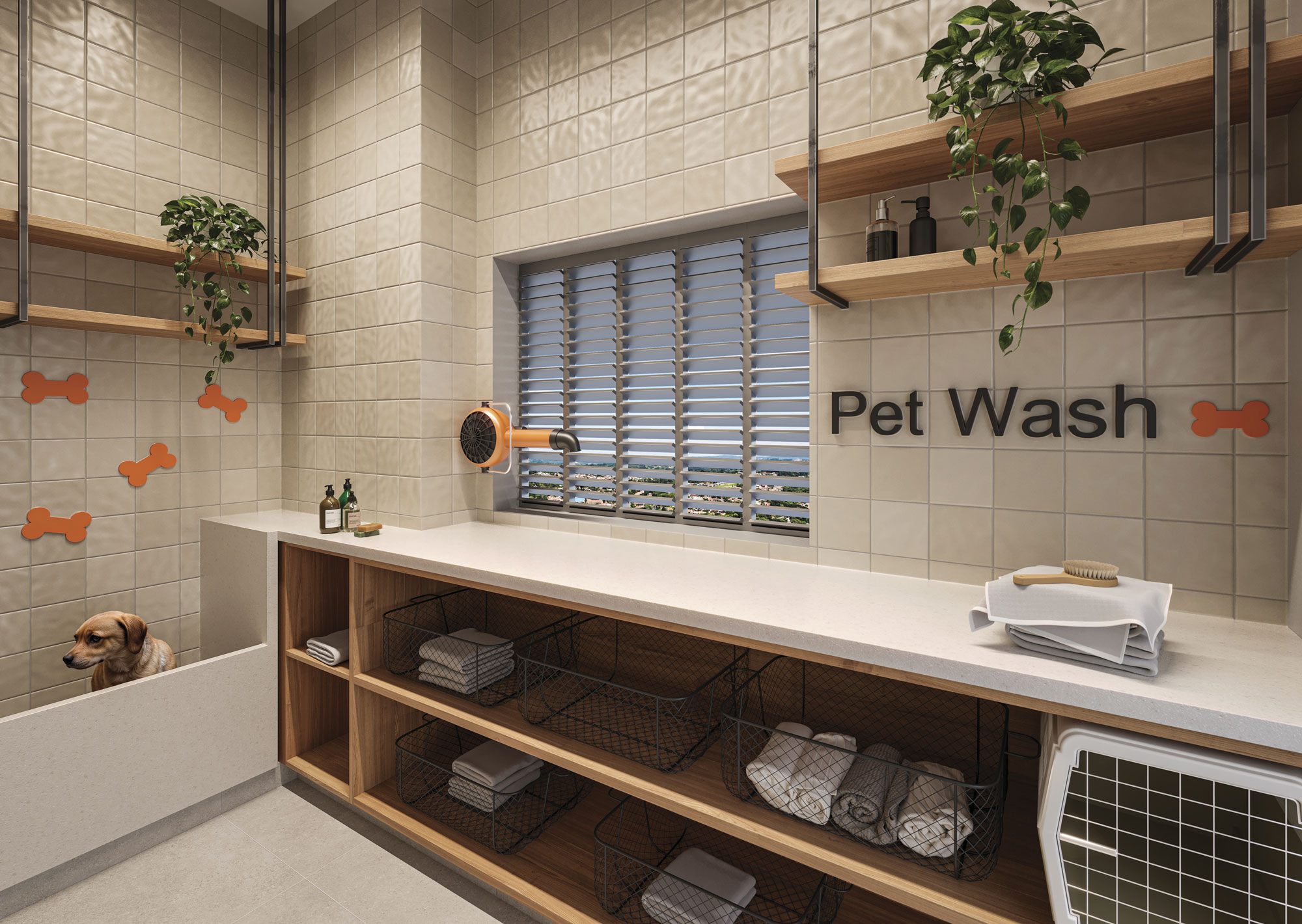 Pet Wash